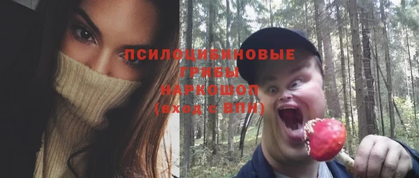 шишки Армянск