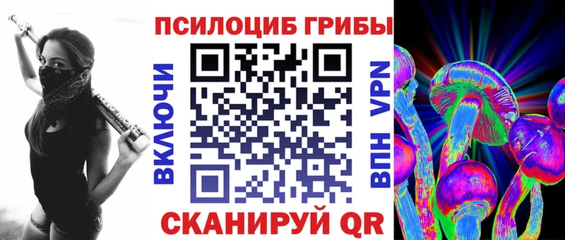 Галлюциногенные грибы Cubensis  Горно-Алтайск 